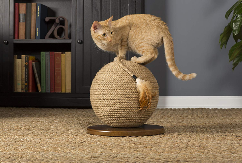 Prevue Pet Products Kitty Power Paws Sphere with Tassel Toy, Natural
