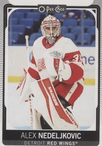 2021-22 Upper Deck Series 2 - Alex Nedeljkovic #603