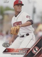 2016 Topps Pro Debut - Tanner Rainey #162