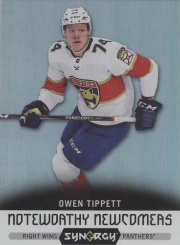 2017-18 Upper Deck Synergy - Owen Tippett #NN-7