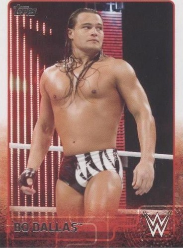 2015 Topps WWE - Bo Dallas #9