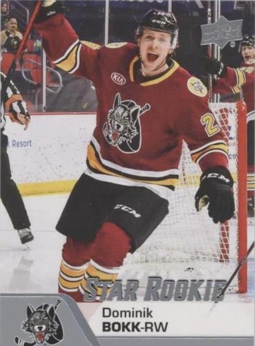 2020-21 Upper Deck AHL - Dominik Bokk #188