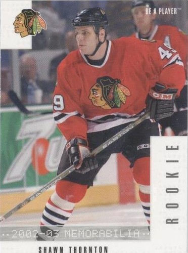 2002-03 In the Game Be A Player Memorabilia - Shawn Thornton #291