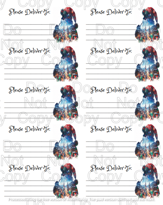 3 Sheets Christmas / Winter  themed Please Deliver To ( PDT ) Shipping labels