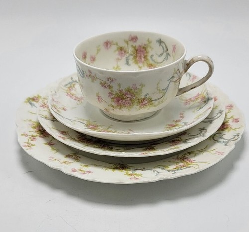 Limoges HAVILAND　(仏)ハンドペイントプレート　2枚 Limoges HAVILAND(仏)ハンドペイントプレート2枚