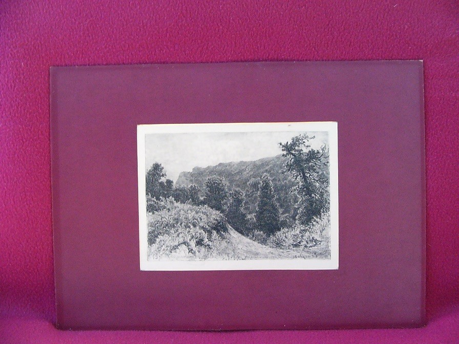 1885 Etchings Ivan Shishkin made ??of silk are unique limited edition