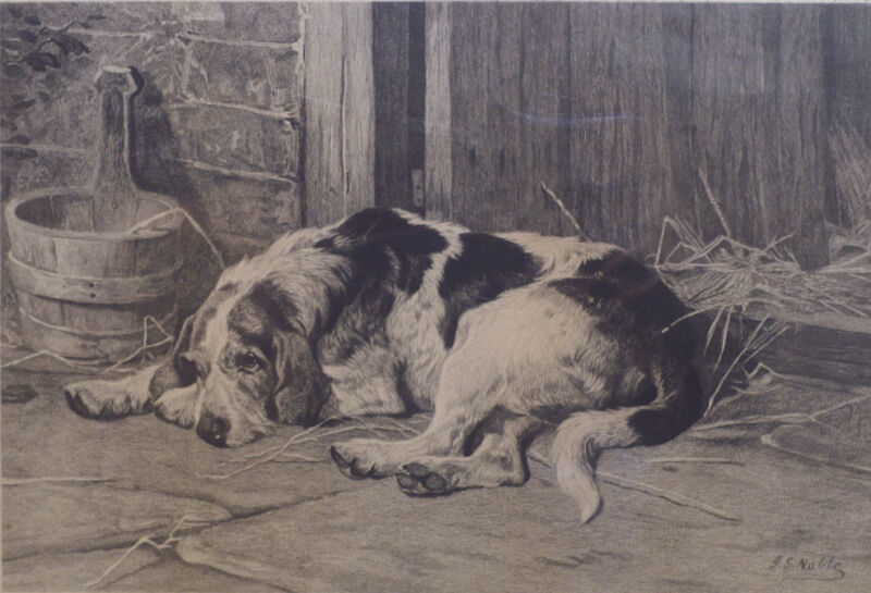 Otterhound Otter Hound Foxhound Hunting Dog Art Engraving 1882 signed J S Noble