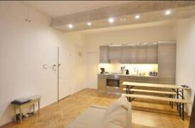 image for Amazing 1-bed NYC style with access to Roof Terrace!