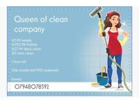 Domestic cleaner ( cleaning products supply )