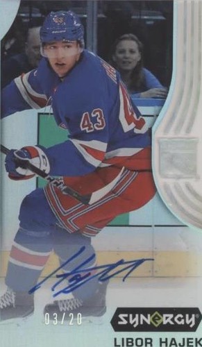 2019-20 Upper Deck Synergy - Libor Hajek #46
