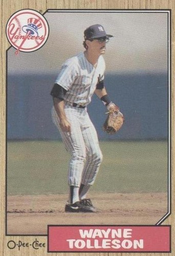 1987 O-Pee-Chee - Wayne Tolleson #224
