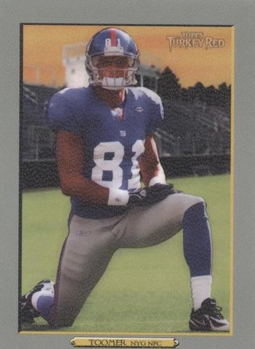 2006 Topps Turkey Red Amani Toomer #171