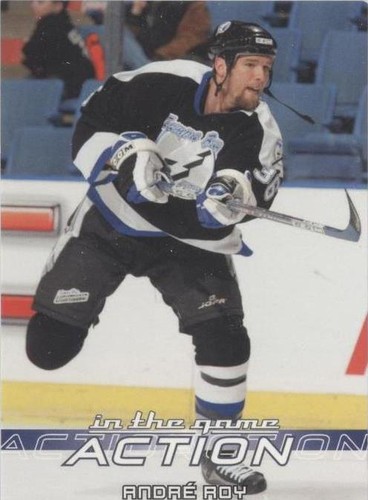2003-04 In the Game Action - Andre Roy #504