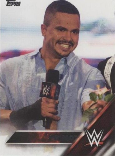 2016 Topps WWE Then Now Forever - Primo #134