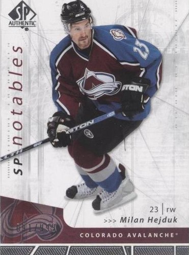 2006-07 SP Authentic - Milan Hejduk #141