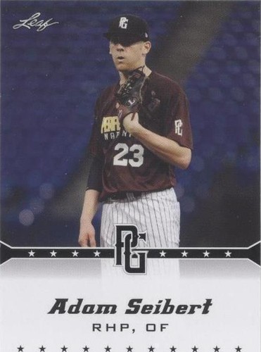 2013 Leaf Perfect Game Showcase - Adam Seibert #219