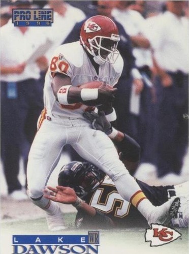 1996 Pro Line Lake Dawson #141