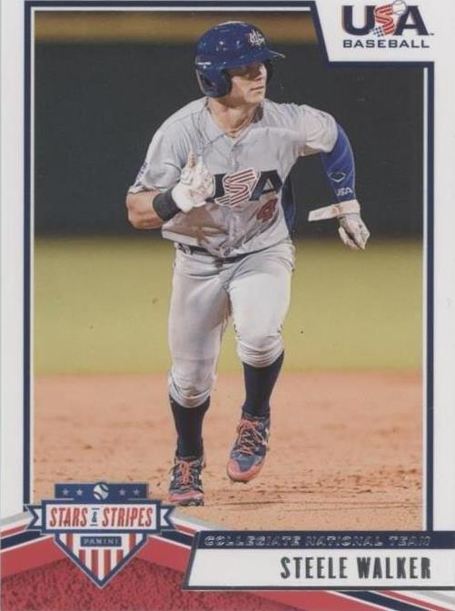 2019 Panini USA Baseball Stars & Stripes - Steele Walker #87