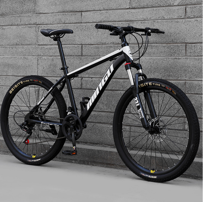 Mens mountain bike with disc brakes online