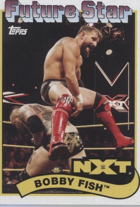 2018 Topps Heritage WWE - Bobby Fish #96