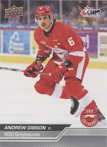 2023-24 Upper Deck CHL - Andrew Gibson #20