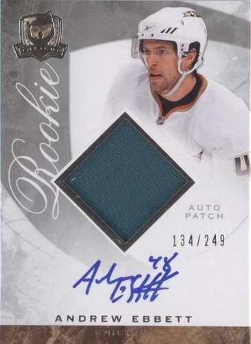 2008-09 Upper Deck The Cup - Andrew Ebbett #79