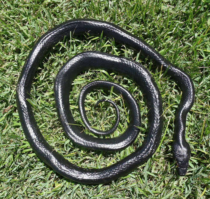 Black Snake - 52" Realistic Rubber Snake Replica AAA
