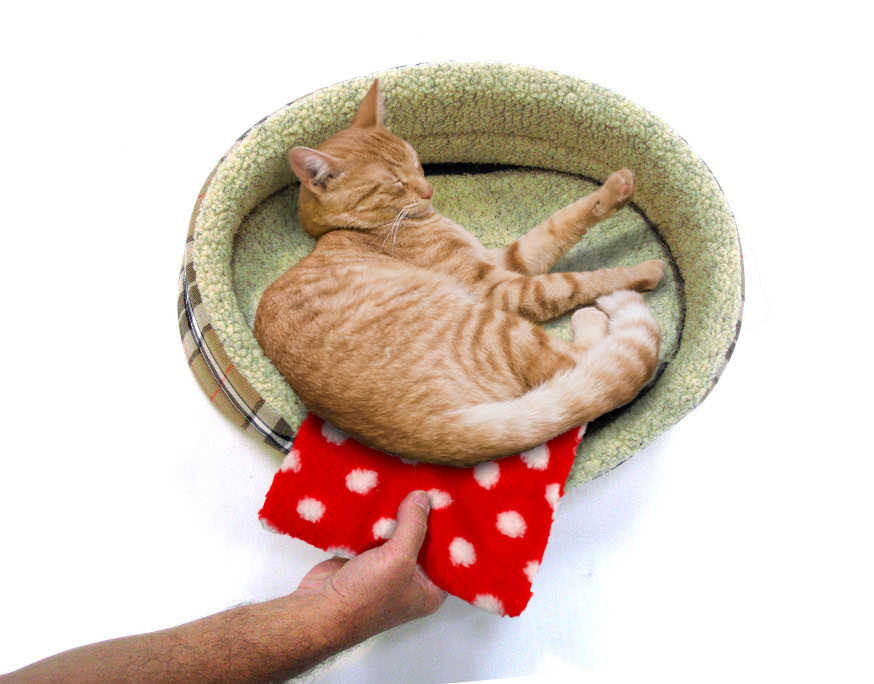 PETLIFE Hottie Microwavable heat pad for Pet Dog Cat Rabbit & Puppy Whelping Box eBay