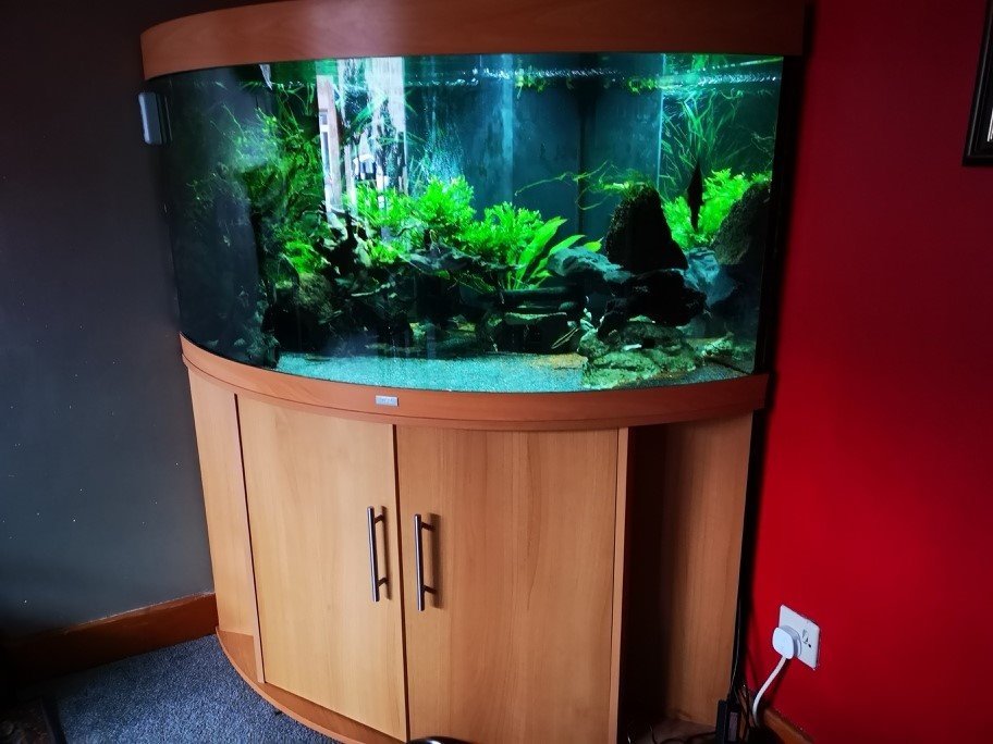 Juwel Trigon 360 Fish tank / Aquarium with stand and accessories in