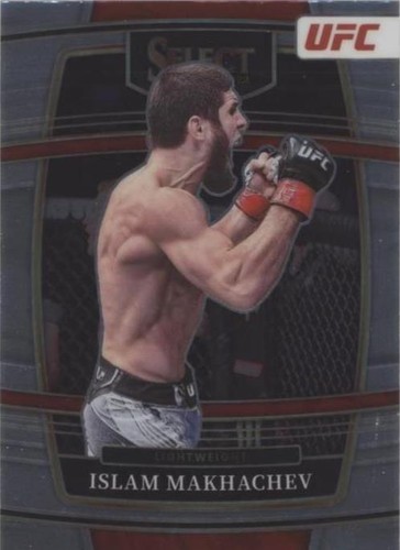 UFC　ルアナ・ピニェーロ　ルーキーカード　5シリ　psa8 UFC ルアナ・ピニェーロ ルーキーカード 5シリ psa8 UFC ルアナ