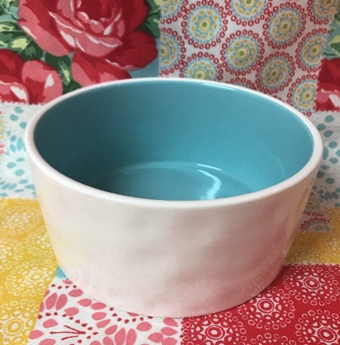 Rae Dunn Pet Dog Dish~ FEAST Food Bowl~ BLUE Inside NEW HTF