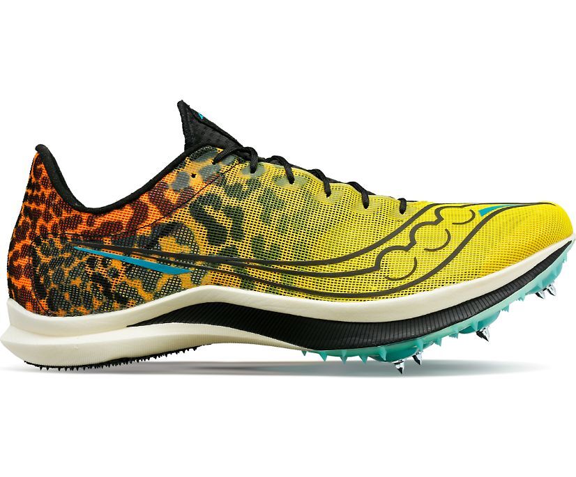 

Мужские кроссовки Saucony Endorphin Cheetah Spikes S29095-85 Black/Vizi, Multicolor