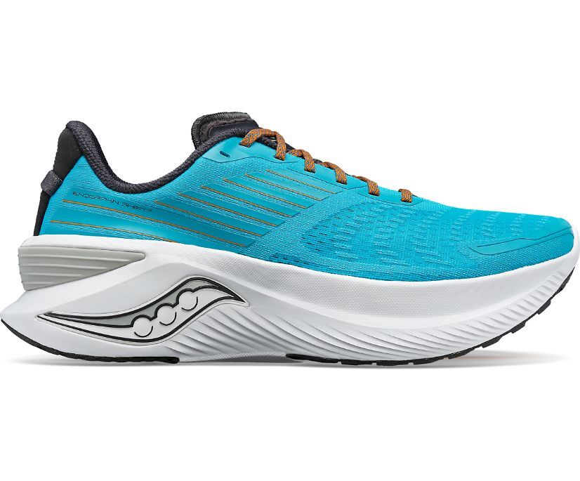 

Мужские кроссовки SAUCONY Endorphin Shift 3 S20813-25, Синий
