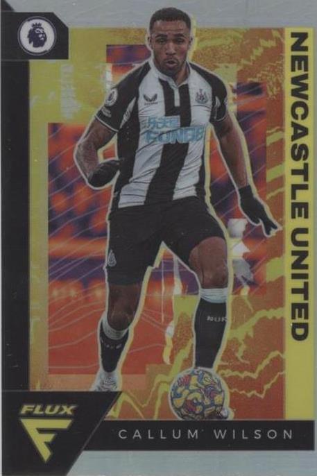 2021-22 Panini Chronicles Callum Wilson #286