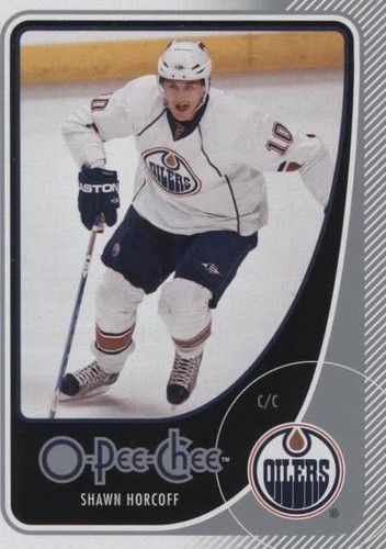 2010-11 O-Pee-Chee - Shawn Horcoff #171