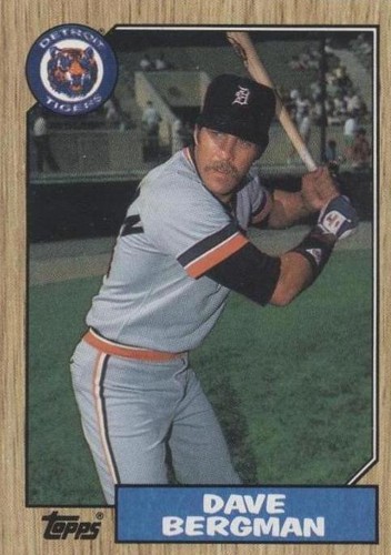 1987 Topps - Dave Bergman #700