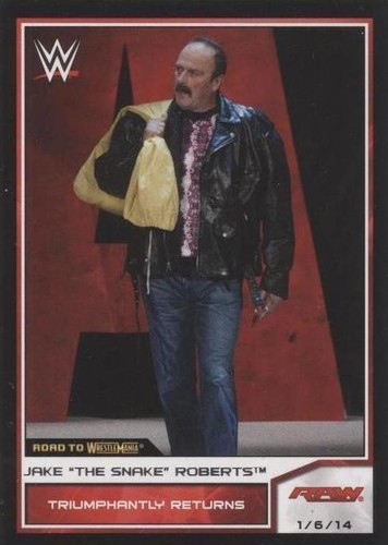 2014 Topps WWE Road to Wrestlemania - Jake "The Snake" Roberts #68