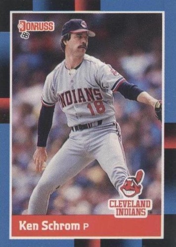 1988 Donruss - Ken Schrom #501