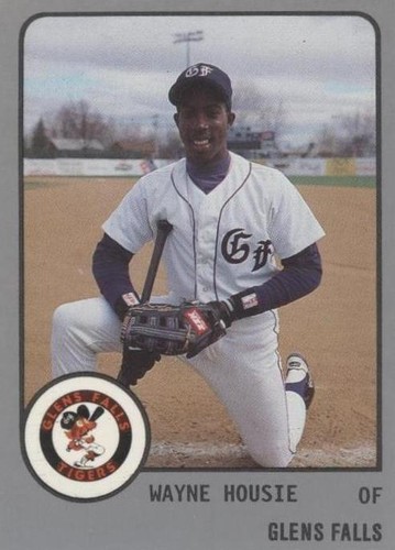 1988 ProCards Minor League - Wayne Housie #913