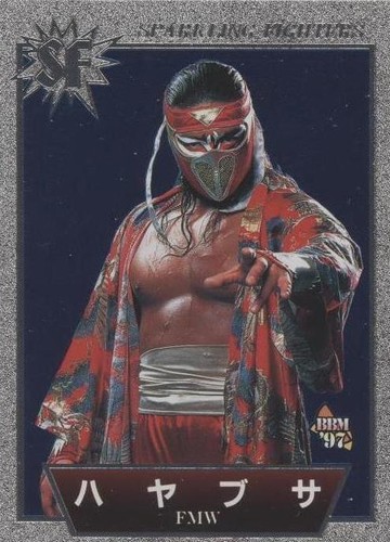 BBM Wrestling Card 1997 Sparkling Fighters Cutie Suzuki JWP