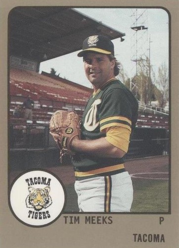 1988 ProCards Minor League - Tim Meeks #633