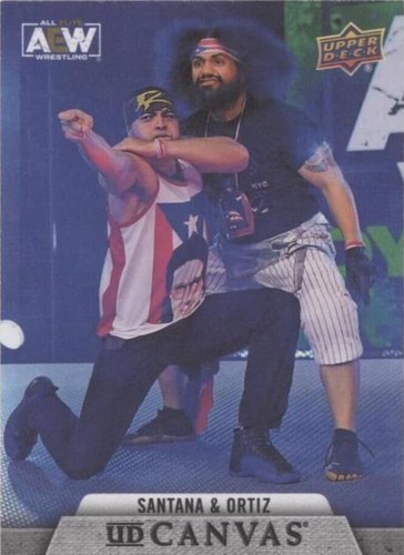 2021 Upper Deck AEW All Elite Wrestling Wrestling Trading Cards