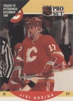 1990-91 Pro Set - Jiri Hrdina #421