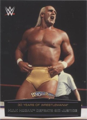 2014 Topps WWE Road to Wrestlemania - Hulk Hogan #16