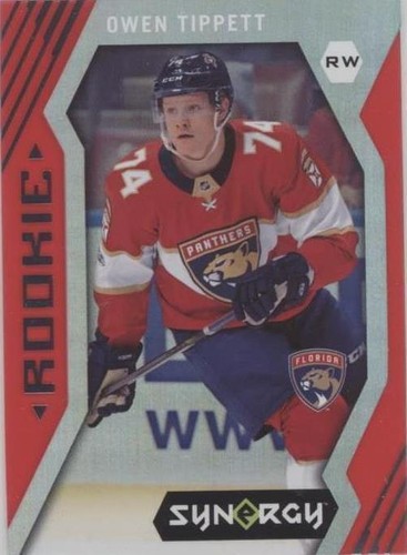 2017-18 Upper Deck Synergy - Owen Tippett #93