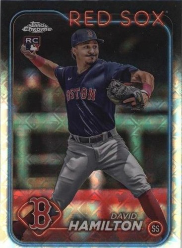 2024 Topps Chrome Logofractor Edition - David Hamilton #49