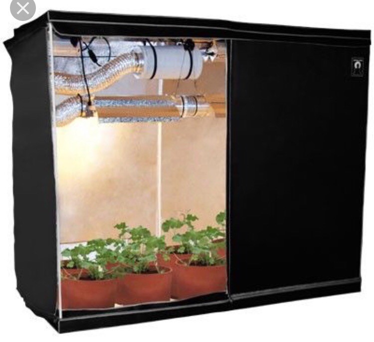 Large Hydroponics Grow Tent 96x48x84” in Crumpsall, Manchester Gumtree
