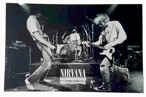 NIRVANA Nevermind 30th Anniversary Album Promo Record Store