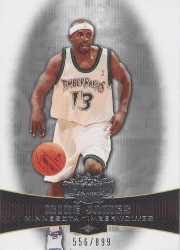 2006-07 Topps Triple Threads - Mike James #73