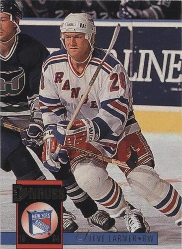 1993-94 Donruss - Steve Larmer #461